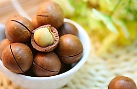 Macadamia Fındığı