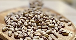 Antep Fıstığı (Orta)