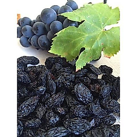 Siyah Üzüm